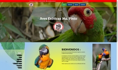 Diseño web exclusivo