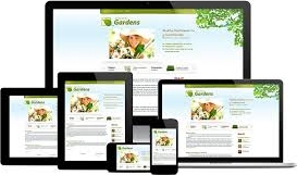 Precio Sitio Web